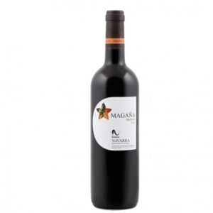 Bodegas Magaña Dignus - Espagne - Rouge - 2013