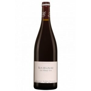 Domaine Alain Burguet Les Pince Vin - Bourgogne - Rouge - 2023