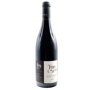 Domaine des Roches Neuves Terres Chaudes - Saumur-Champigny - Rouge - 2019