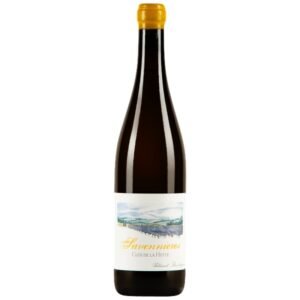 Boudignon Thibaud - Savennieres Clos De La Hutte - Blanc - 2021