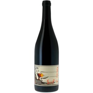 Domaine Du Bel Air - Bourgueil Jour De Soif - Rouge - 2022