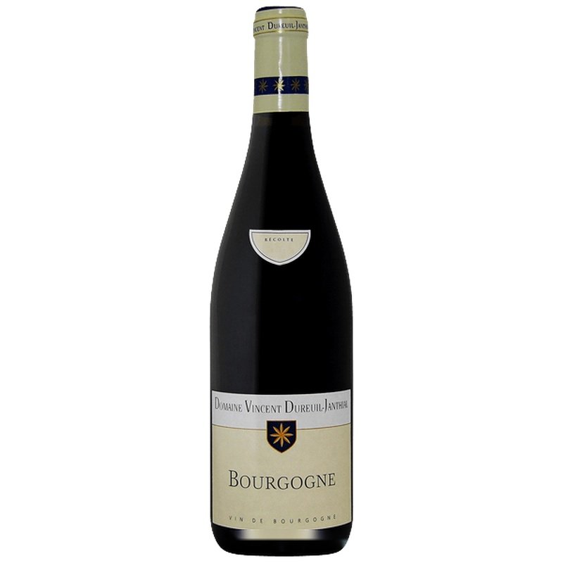 Dureuil-Janthial Vincent - Bourgogne Pinot Noir - Rouge - 2020