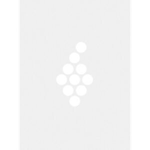 Ferret J A - Pouilly Fuisse - Blanc - 2021