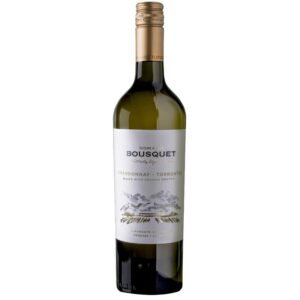 Domaine Bousquet Premium Chardonnay Torrontés - Mendoza, Tupungato - Blanc - 2025